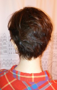 Woman wearing a plaid shirt. She has a long pixie haircut shown from the back.